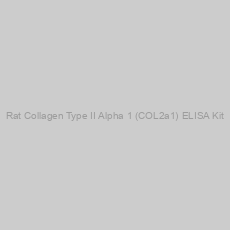 Image of Rat Collagen Type II Alpha 1 (COL2a1) ELISA Kit